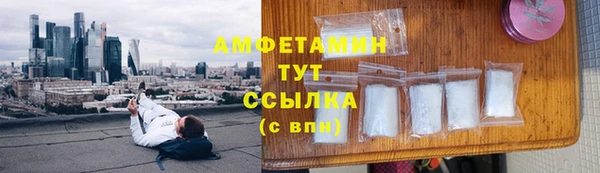 индика Богородицк